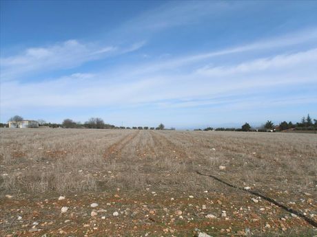 Land plot 35.000sqm for sale-Litochoro » Limenas Litochorou
