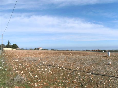 Land plot 0sqm for sale-Litochoro » Limenas Litochorou