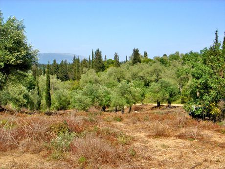 Οικόπεδο 0τ.μ. για πώληση-Κέρκυρα » Φαίακες