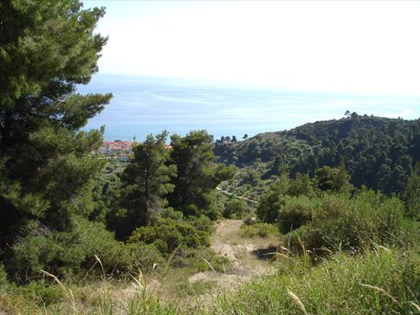 Οικόπεδο 4.465τ.μ. για πώληση-Κασσάνδρα » Εύδος