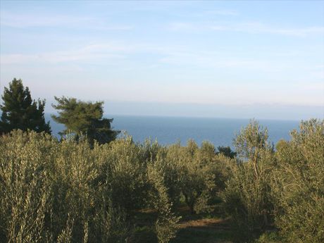 Οικόπεδο 20.000τ.μ. για πώληση-Κασσάνδρα » Κρυοπηγή