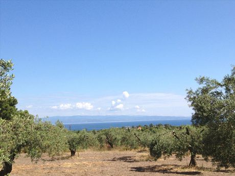 Οικόπεδο 12.100τ.μ. για πώληση-Σιθωνία » Βουρβουρού