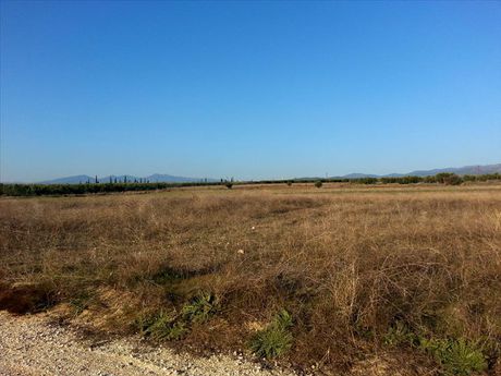 Οικόπεδο 16.600τ.μ. για πώληση-Πολύγυρος » Γερακινή