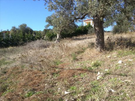 Οικόπεδο 1.830τ.μ. για πώληση-Ορμύλια » Μετόχι