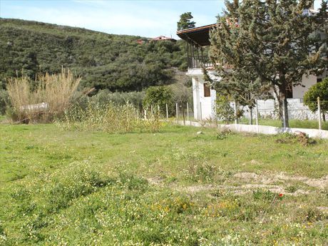Οικόπεδο 15.000τ.μ. για πώληση-Παλλήνη » Πολύχρονο