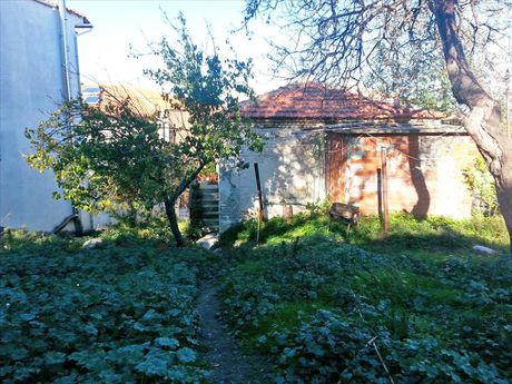 Οικόπεδο 400τ.μ. για πώληση-Παλλήνη » Παλιούρι
