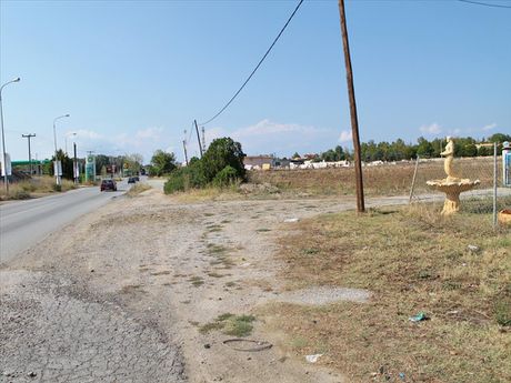 Οικόπεδο 5.500τ.μ. για πώληση-Κασσάνδρα » Άφυτος