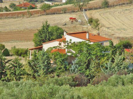 Μονοκατοικία 360τ.μ. για πώληση-Πολύγυρος » Άγιος πρόδρομος