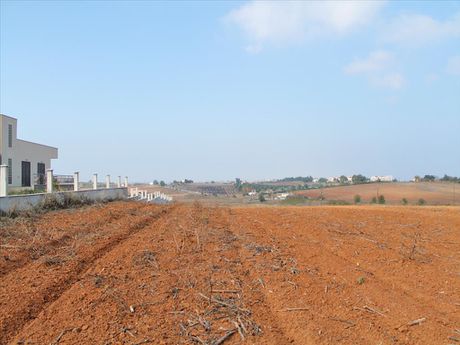 Οικόπεδο 15.217τ.μ. για πώληση-Κασσάνδρα » Νέα φώκαια