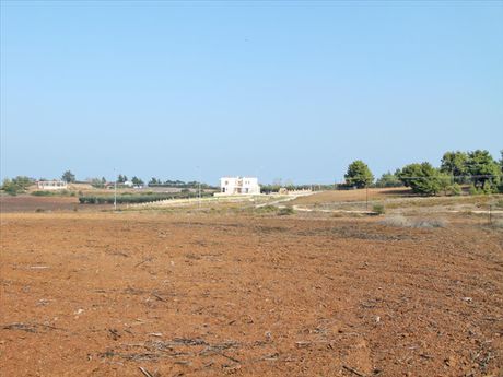 Οικόπεδο 5.875τ.μ. για πώληση-Κασσάνδρα » Νέα φώκαια