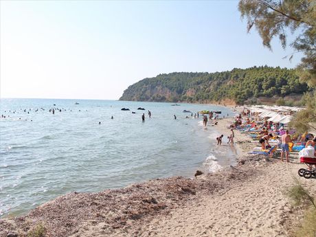 Οικόπεδο 4.000τ.μ. για πώληση-Κασσάνδρα » Φυλακές ξενοφώντα