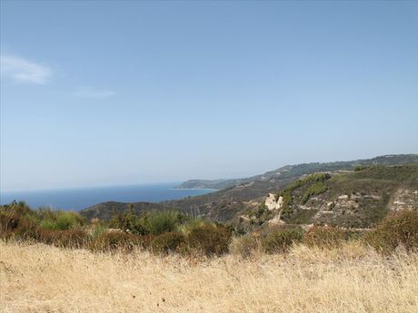 Οικόπεδο 51.000τ.μ. για πώληση-Κασσάνδρα » Λουλούδια