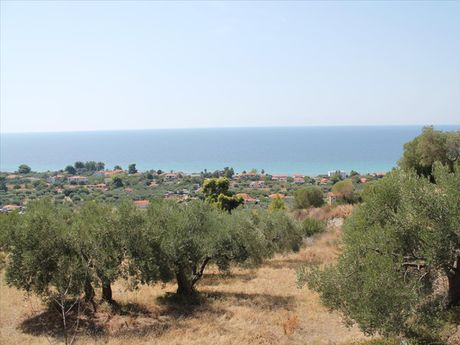 Οικόπεδο 4.000τ.μ. για πώληση-Παλλήνη » Πολύχρονο