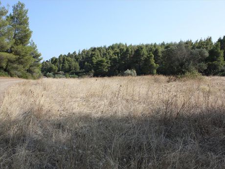 Οικόπεδο 4.960τ.μ. για πώληση-Ορμύλια » Μετόχι