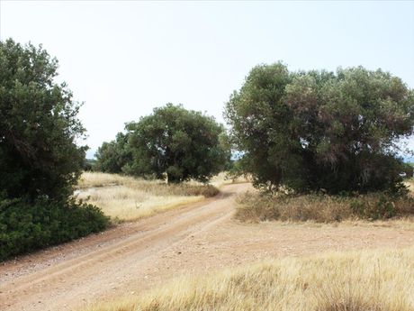 Land plot 302sqm for sale-Poligiros » Gerakini