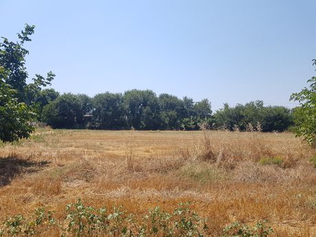 Οικόπεδο 7.500τ.μ. για πώληση-Κασσάνδρα » Καλάνδρα