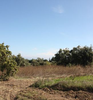 Οικόπεδο 4.286τ.μ. για πώληση-Κασσάνδρα » Κρυοπηγή