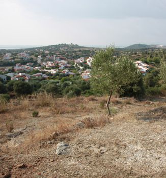 Οικόπεδο 7.230τ.μ. για πώληση-Ορμύλια » Ψακούδια