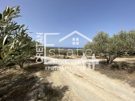 Αγροτεμάχια 12.000τ.μ. για πώληση-Σητεία » Ρούσα εκκλησία