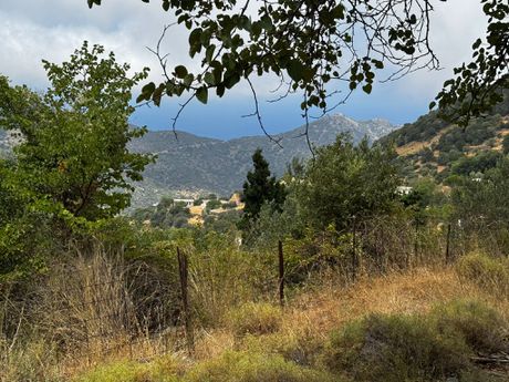Land plot 5.000 sqm for sale