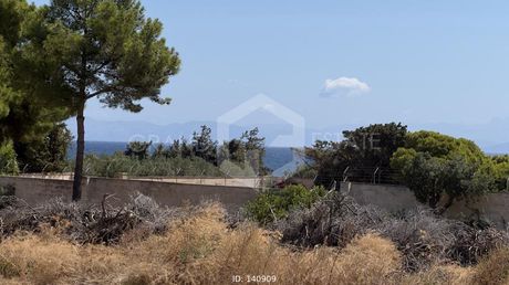 Οικόπεδο 1.018τ.μ. για πώληση-Αρτέμιδα (λούτσα) » Κατασκηνώσεις
