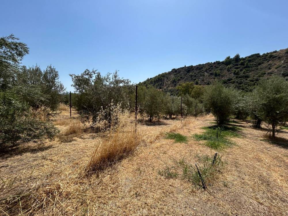 Αγροτεμάχια 10.253 τ.μ. πρός πώληση, Κορινθία, Σικυώνα