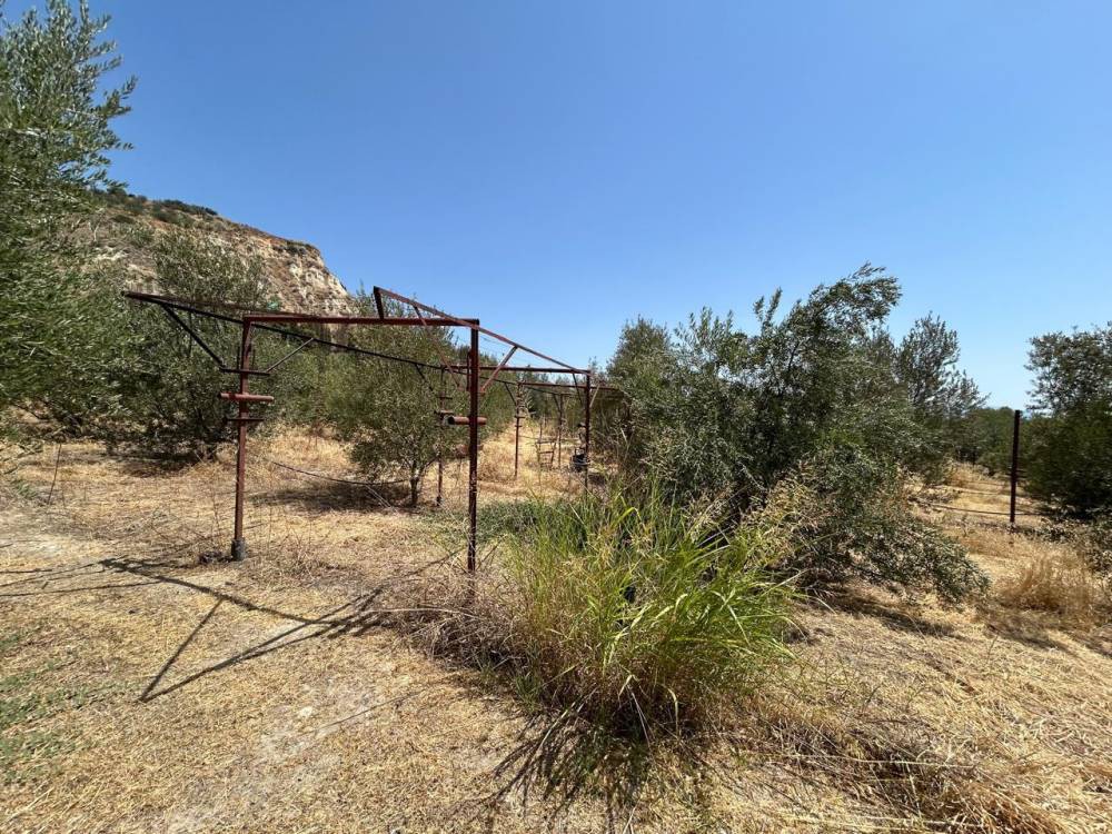 Αγροτεμάχια 10.253 τ.μ. πρός πώληση, Κορινθία, Σικυώνα