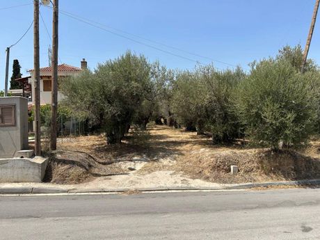 Land plot 797sqm for sale-Sikiona » Pasio