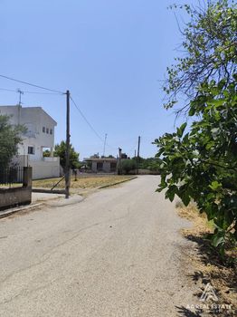 Μονοκατοικία 80τ.μ. για πώληση-Τριγλία » Ελαιοχώρια