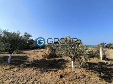 Αγροτεμάχια 2.500τ.μ. για πώληση-Αλεξανδρούπολη » Δίκελλα