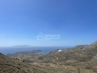 Αγροτεμάχια 6.500 τ.μ. για πώληση