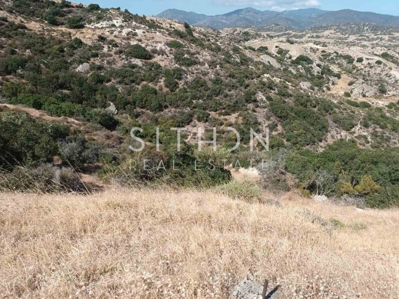 Οικόπεδο 500 τ.μ. προς πώληση, Σκάλα Συκέας