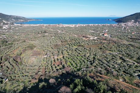 Αγροτεμάχια 258τ.μ. για πώληση-Θάσος » Χρυσή αμμουδιά