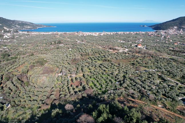 Αγροτεμάχια 258 τ.μ. για πώληση, Ν. Καβάλας, Θάσος