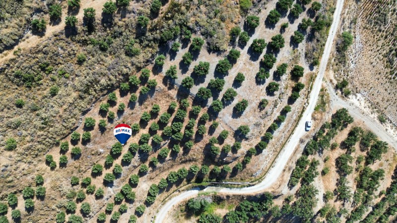 Αγροτεμάχια 4.174,09 τ.μ. πρός πώληση, Ν. Ρεθύμνου, Φοινίκας