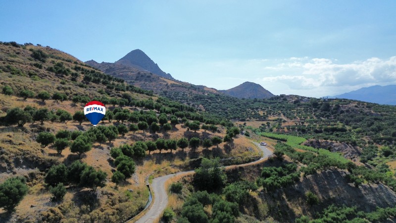 Αγροτεμάχια 4.174,09 τ.μ. πρός πώληση, Ν. Ρεθύμνου, Φοινίκας