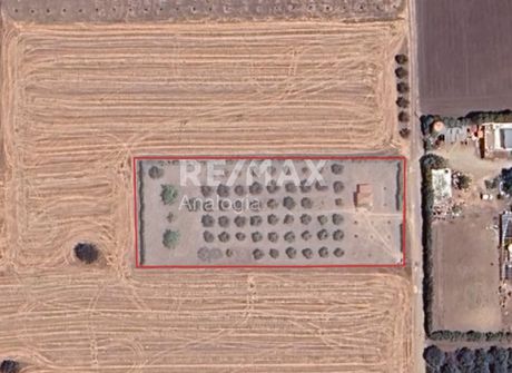 Parcel 4.000sqm for sale-Epanomi » Lefkes