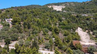 Αγροτεμάχια 3.533 τ.μ. για πώληση, Ν. Λευκάδας, Λευκάδα-thumb-8