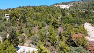 Αγροτεμάχια 3.533 τ.μ. για πώληση, Ν. Λευκάδας, Λευκάδα-thumb-10