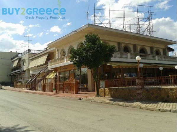 Κατάστημα 700 τ.μ. για πώληση, Βοιωτία, Θήβα