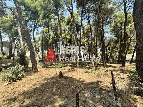 Land plot 1.320 sqm for sale