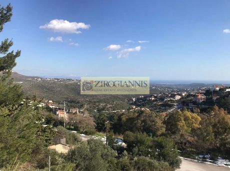Οικόπεδο 1.355τ.μ. για πώληση-Πικέρμι