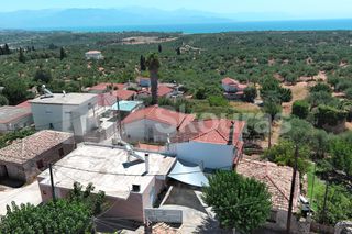Μονοκατοικία 100 τ.μ. για πώληση, Μεσσηνία, Πεταλίδι-thumb-14
