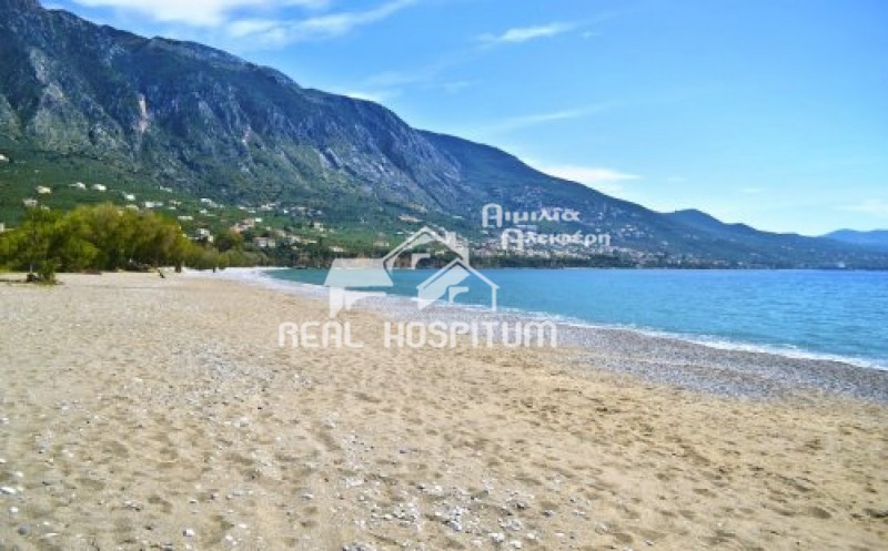 Οικόπεδο 6.000 τ.μ. για πώληση, Μεσσηνία, Καλαμάτα