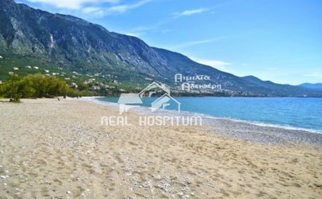 Land plot 6.000sqm for sale-Kalamata » Nikitaras