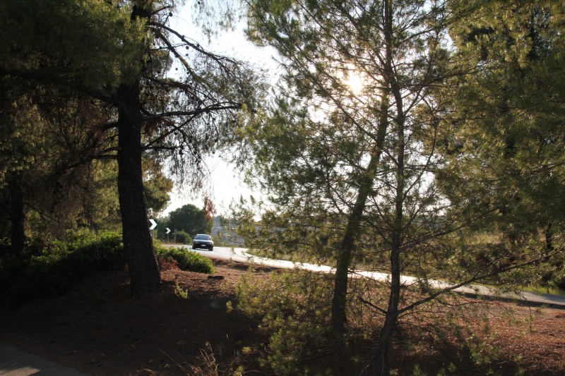 Αγροτεμάχια 3.600 τ.μ. πρός πώληση, Χαλκιδική, Σταγείρων - Ακάνθου