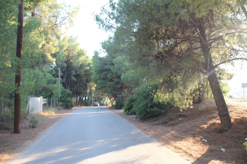 Αγροτεμάχια 3.600 τ.μ. πρός πώληση, Χαλκιδική, Σταγείρων - Ακάνθου