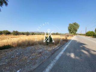 Οικόπεδο 650 τ.μ. για πώληση, Δωδεκάνησα, Ρόδος-thumb-7