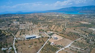 Αγροτεμάχια 4.172 τ.μ. για πώληση, Αργολίδα, Κρανίδι-thumb-14