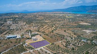 Αγροτεμάχια 4.172 τ.μ. για πώληση, Αργολίδα, Κρανίδι-thumb-2